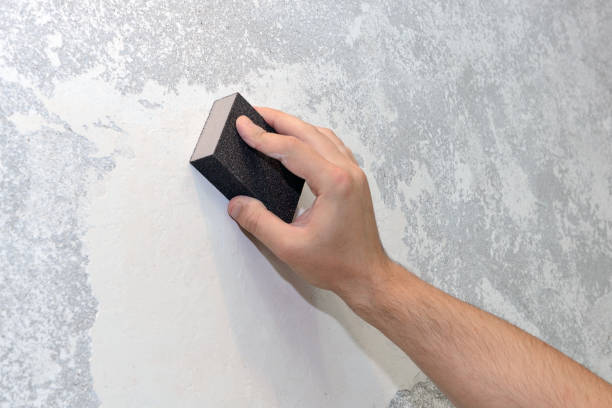Best Post-Construction Mold Inspection  in Shil, OH