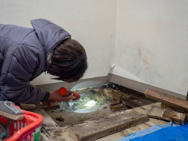 Best Mold Odor Removal Services  in Shil, OH