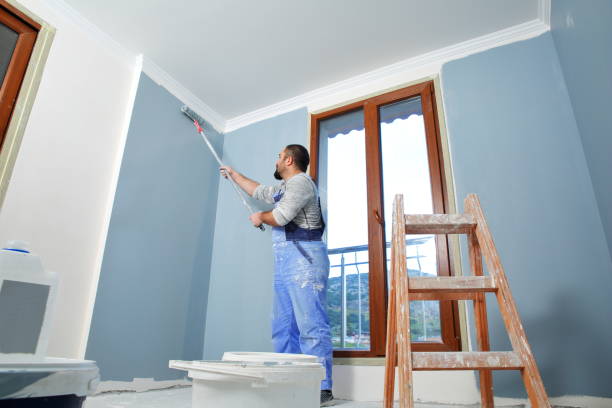 Best Industrial Mold Remediation  in Shil, OH