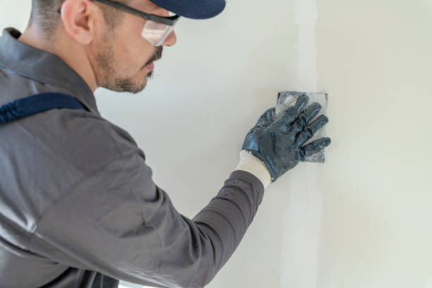 Best Black Mold Removal  in Shil, OH