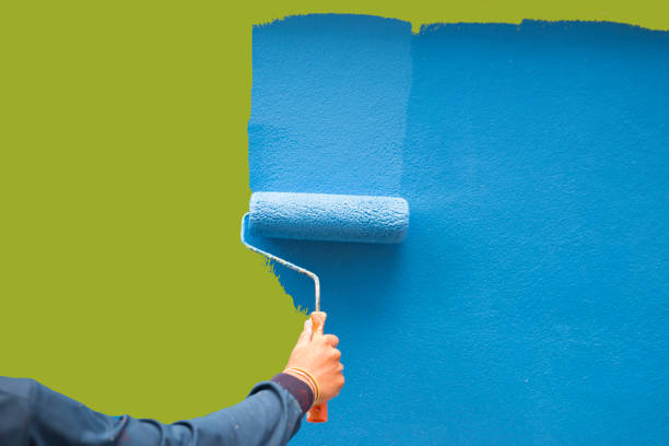 Best Basement Mold Removal  in Shil, OH